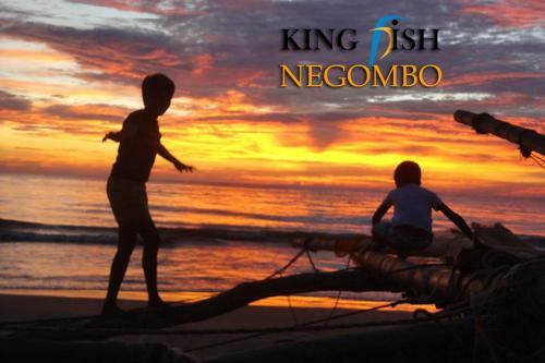 Hostal King Fish Guest House