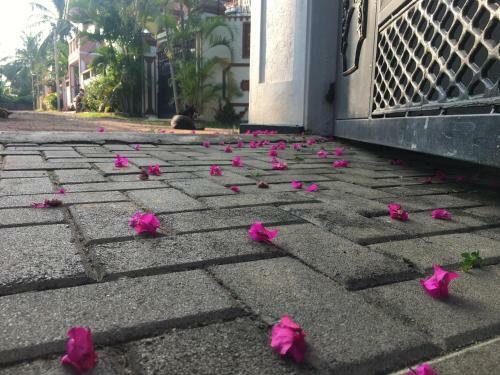Hostal Sweet Lanka Negombo