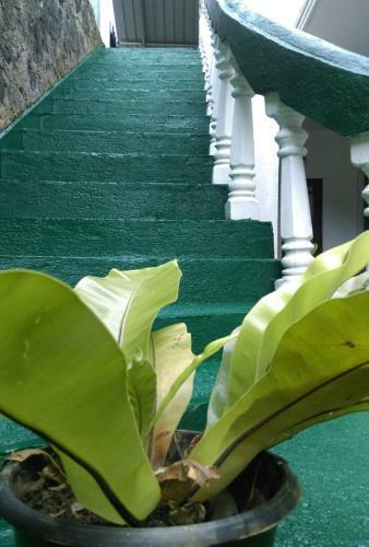 Hostal Star Holiday Home