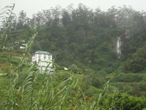 Hotel Ashley Resorts