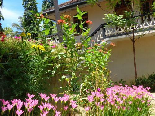 Hansa Holiday Homes