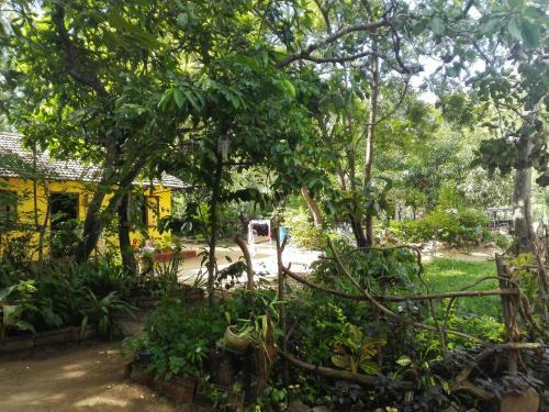 Pathum Homestay