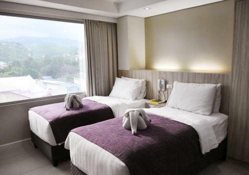 Aparthotel Alicia Apartelle