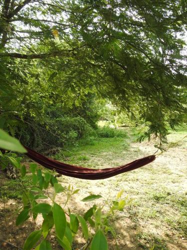 Hostal Eagles Nest Cabanas