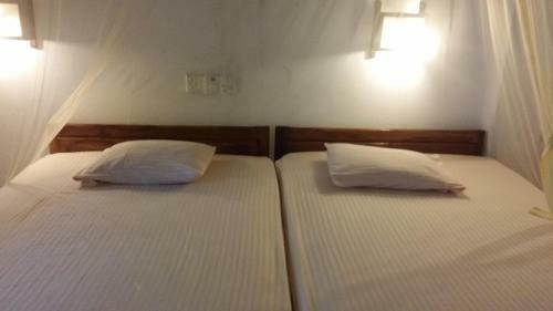Hostal Gayana Guest House