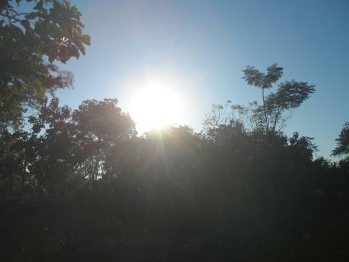 Sunshadow Chalet