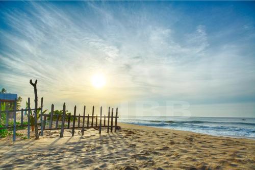 Harmony Beach Bungalows