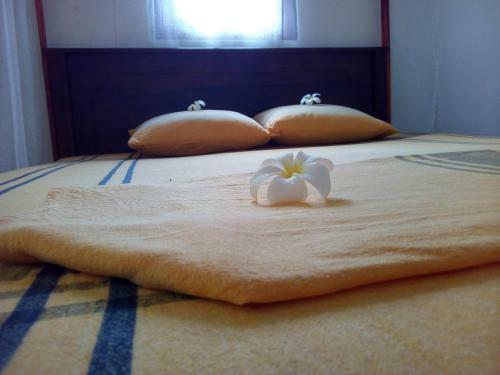Hostal Nethmi Homestay