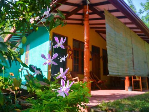 Hostal Nethmi Homestay