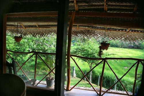The Green View Yala