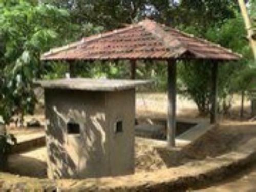 Jungle House