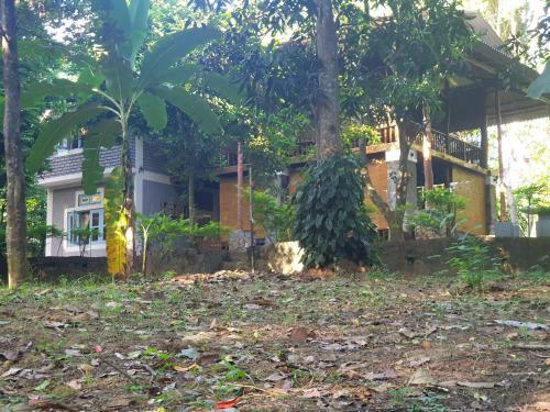 Jungle House