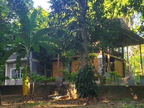 Jungle House