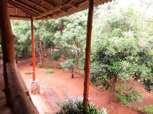 Jungle House