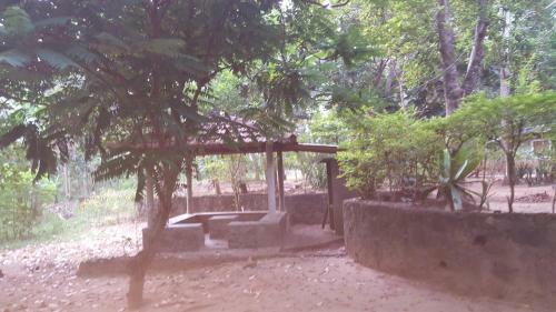 Jungle House