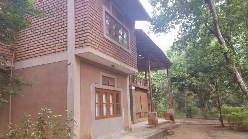 Jungle House