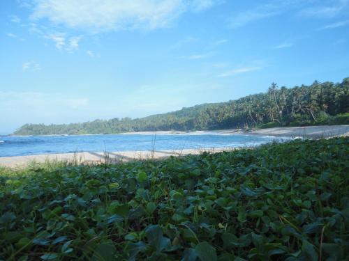 Hostal The Tangalle Private House