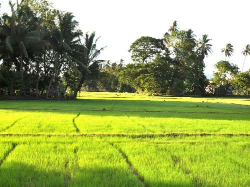 Hotel Nature Resort