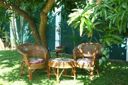 Hotel Nature Resort