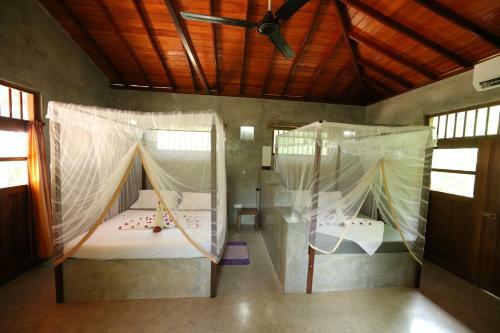 Mangrove Beach Chalets