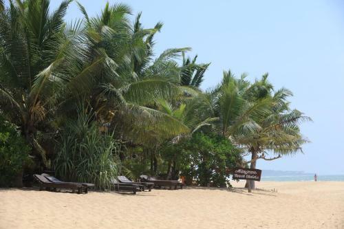 Mangrove Beach Chalets