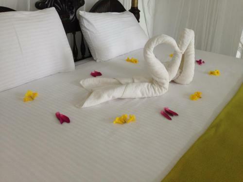 Hotel Saman Resort