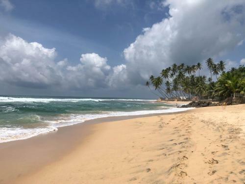 Hotel Sea Front Villa