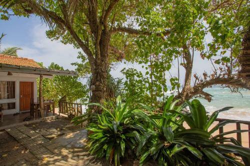 Hotel Sea Front Villa