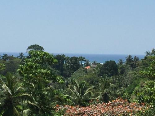 Wija House