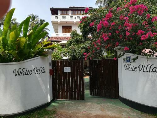 Apartamentos White Villa