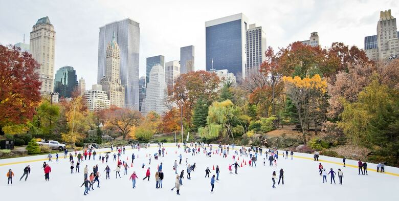 Hotel Ritz-carlton New York Central Park