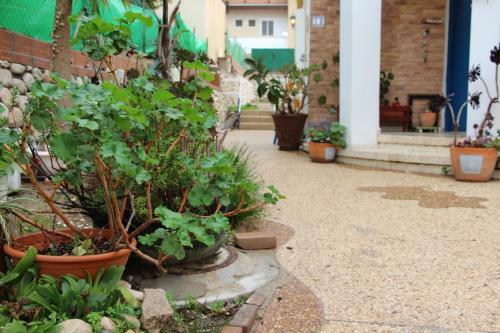 Country Vibe Villa In The City
