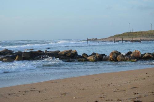 Lodge On The Sea