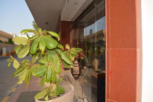 Apartamento Diamond Suits
