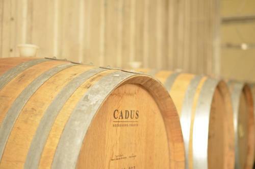 Hostal Weaver Estate Vineyard Cottages