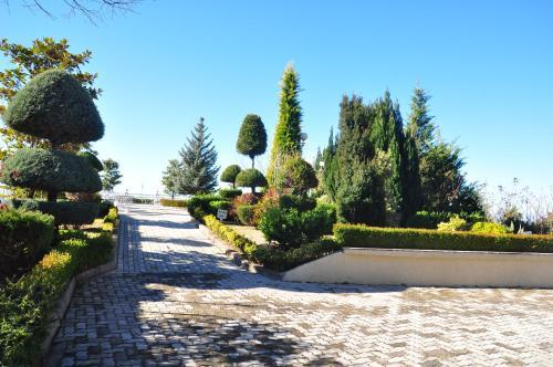 Hotel Dajti Park