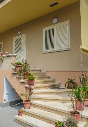 Ariadnes Home