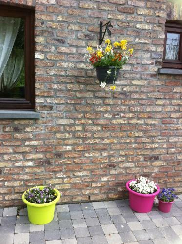 Hostal La Maison Aux Pr�s