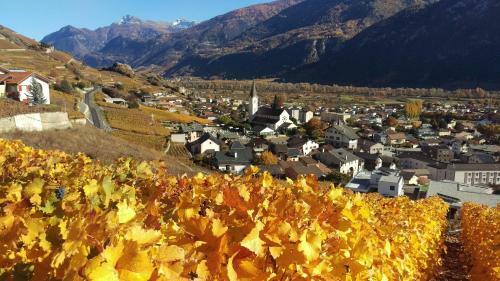 Bed & Breakfast Petit Pr�