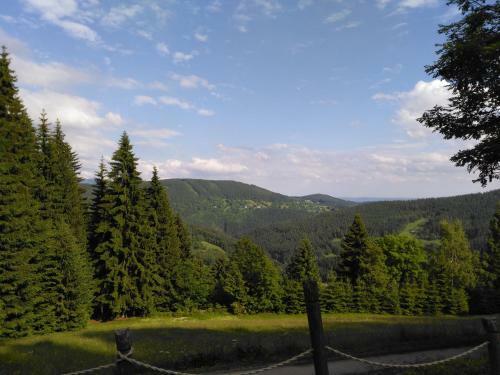 Hostal Penzion U Pir�ta