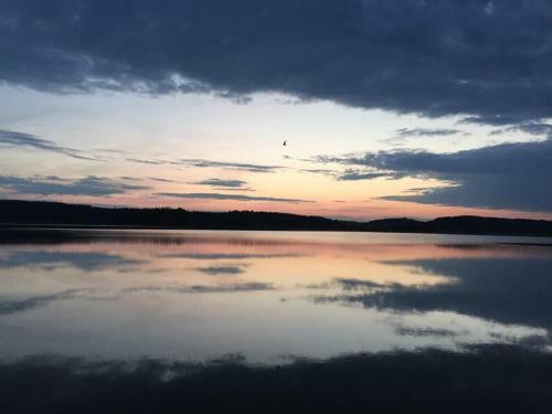 Vuohensaari