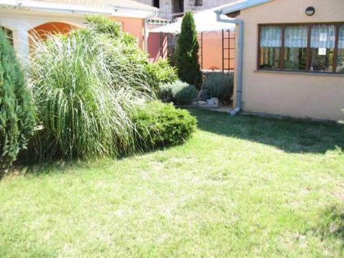 Apartments Damir