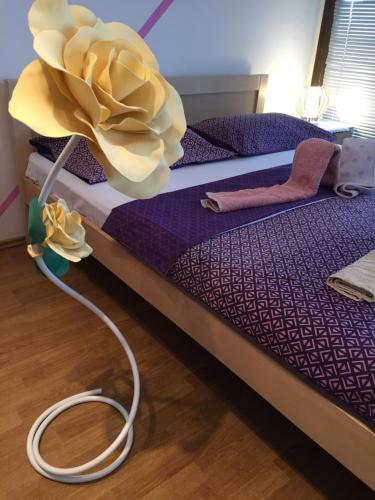 Hostel Lega House