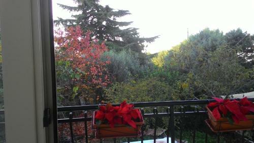B&B Il Rifugio