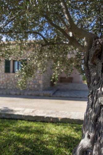 Villa Es Rasquell