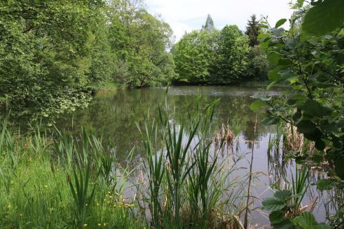 Apartamento Erzgebirgsferien