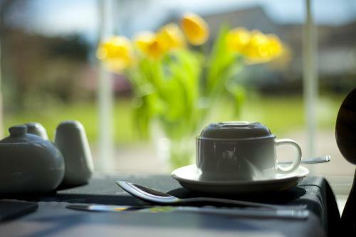 Hostal Maenllwyd Guest House