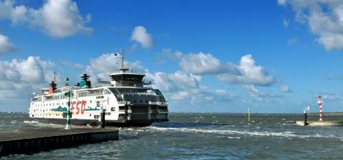 Bed & Breakfast Thuis Op Texel