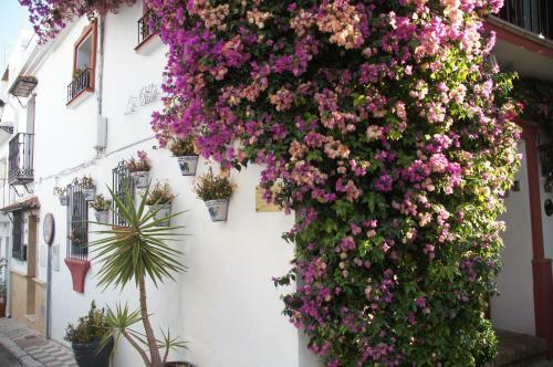 Elviria Apartment