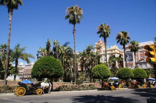 Elviria Apartment
